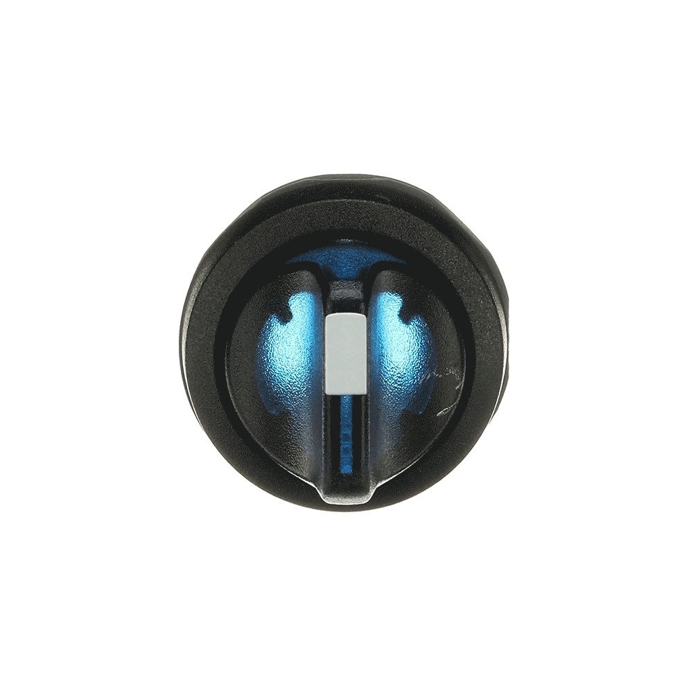 ABB Frontelement für Wahlschalter 1SFA611200R1104 Typ M2SS1-11L