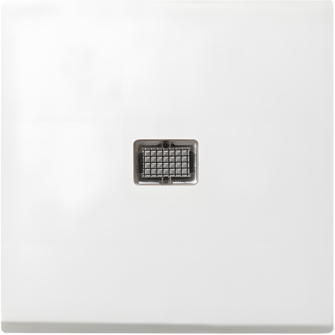 Gira Wippe Kontroll-Fenster 029803