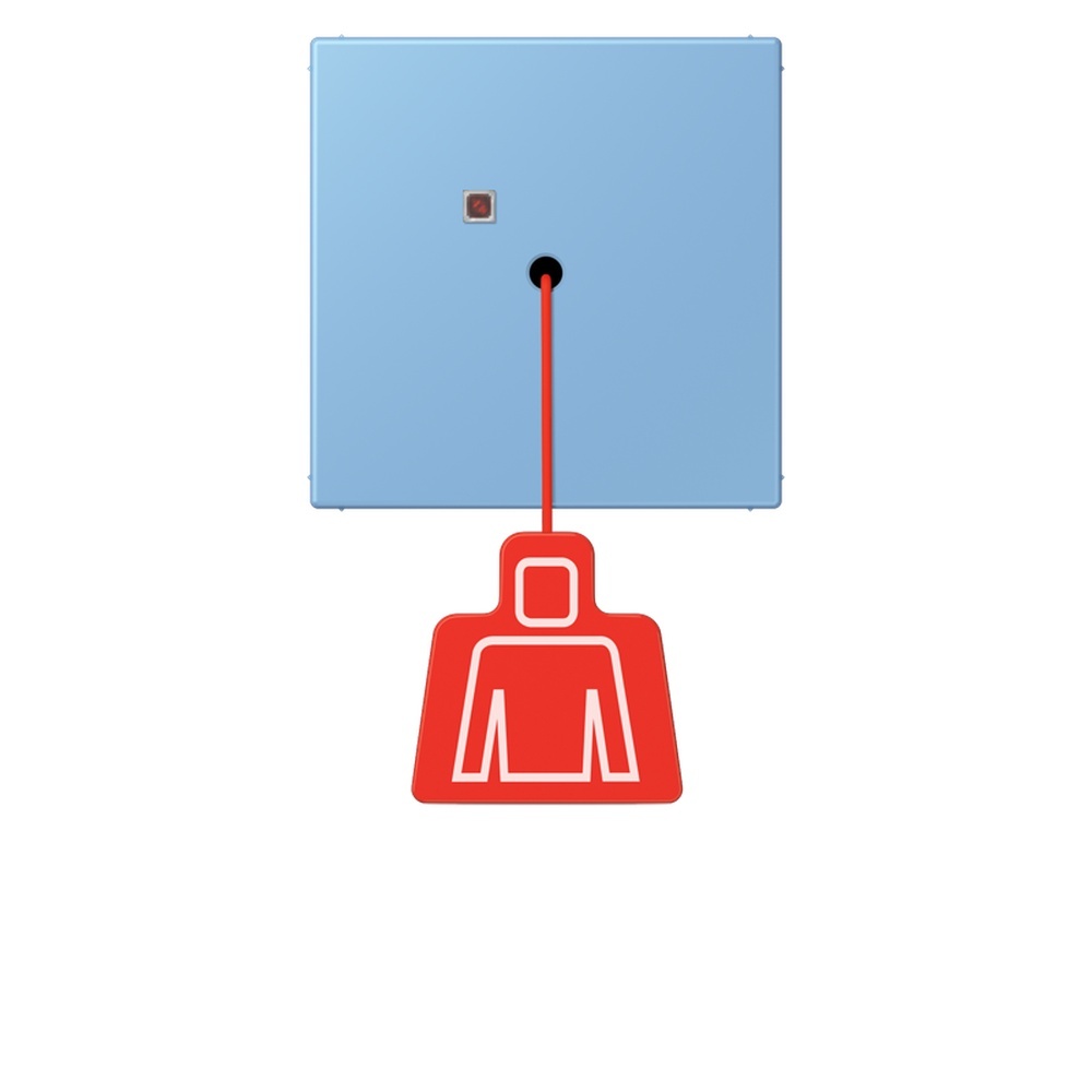 Jung Notrufsystem Zugtaster NRSLC0834ZT256
