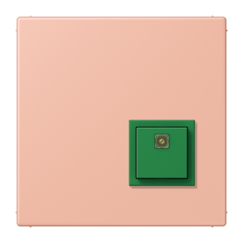 Jung Notrufsystem Abstelltaster NRSLC0834AT231