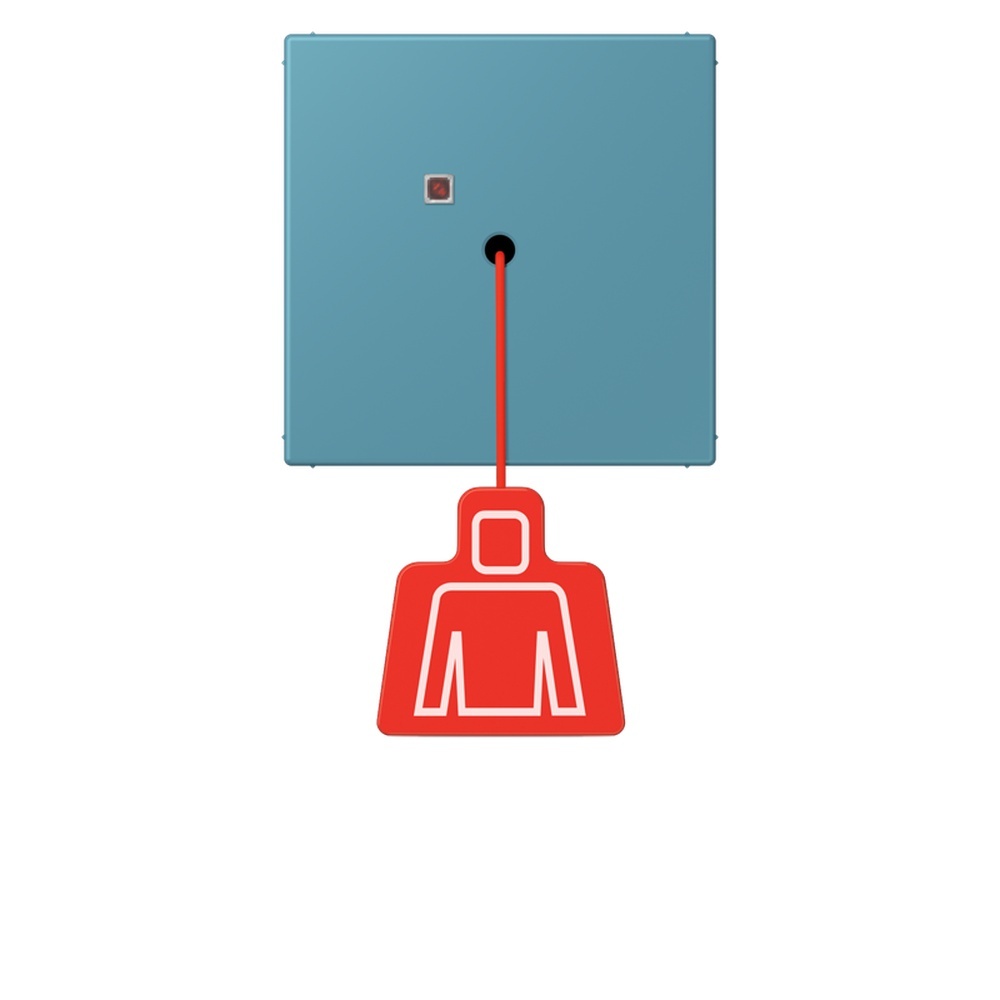 Jung Notrufsystem Zugtaster NRSLC0834ZT212
