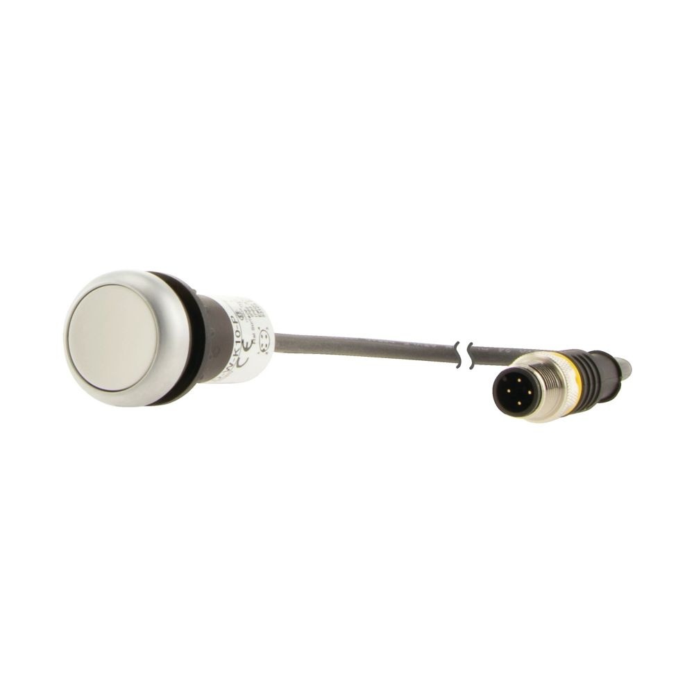 Eaton Drucktaste 185677 Typ C22-D-W-K10-P1