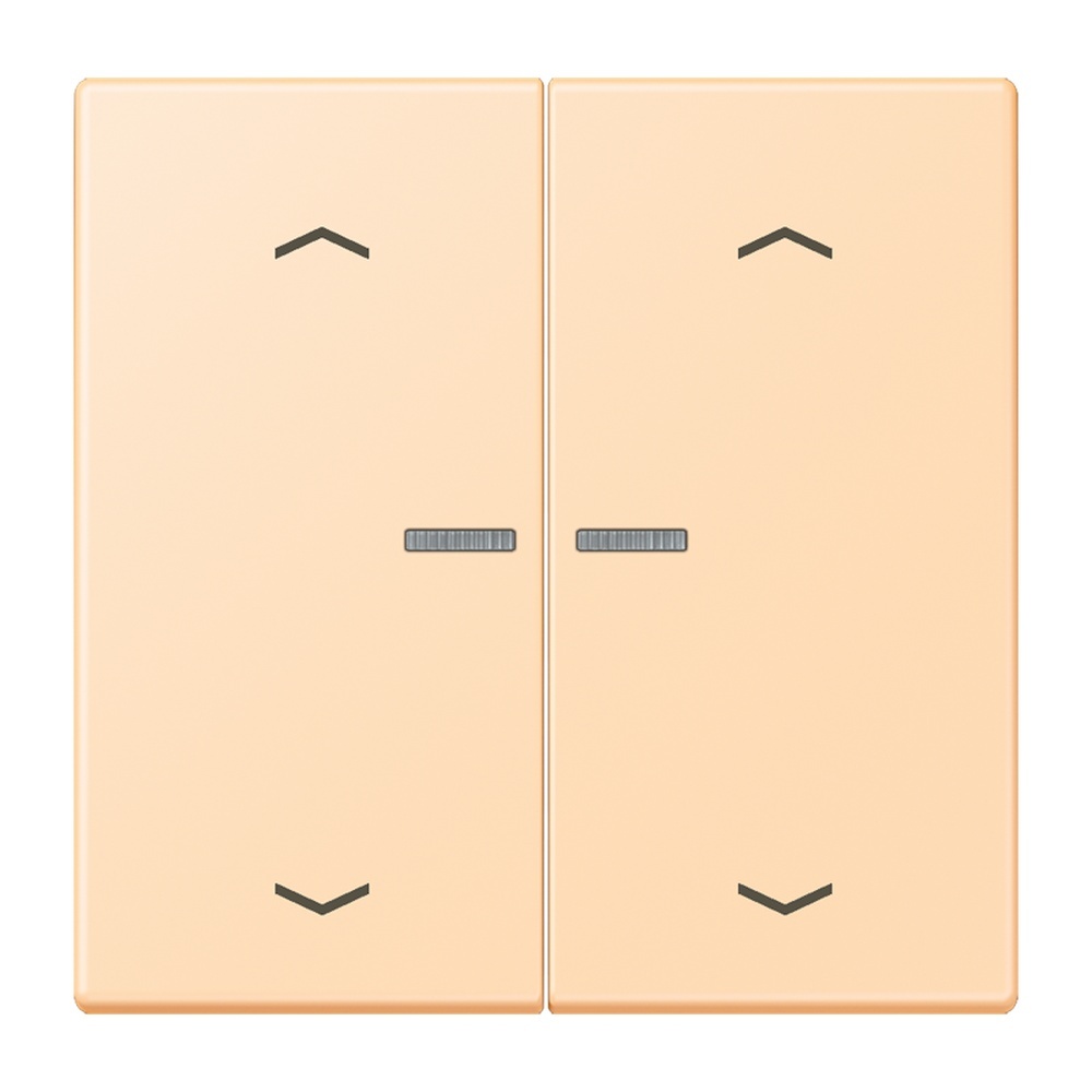 Jung JUNG HOME Taster BTLC17102P223