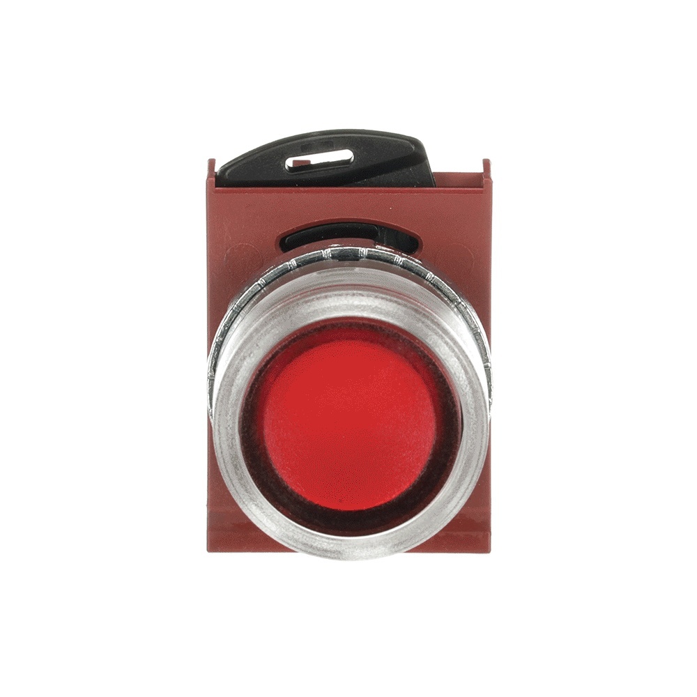 ABB Frontelement für Drucktaster 1SFA184491R9101 Typ P9MPLRGD