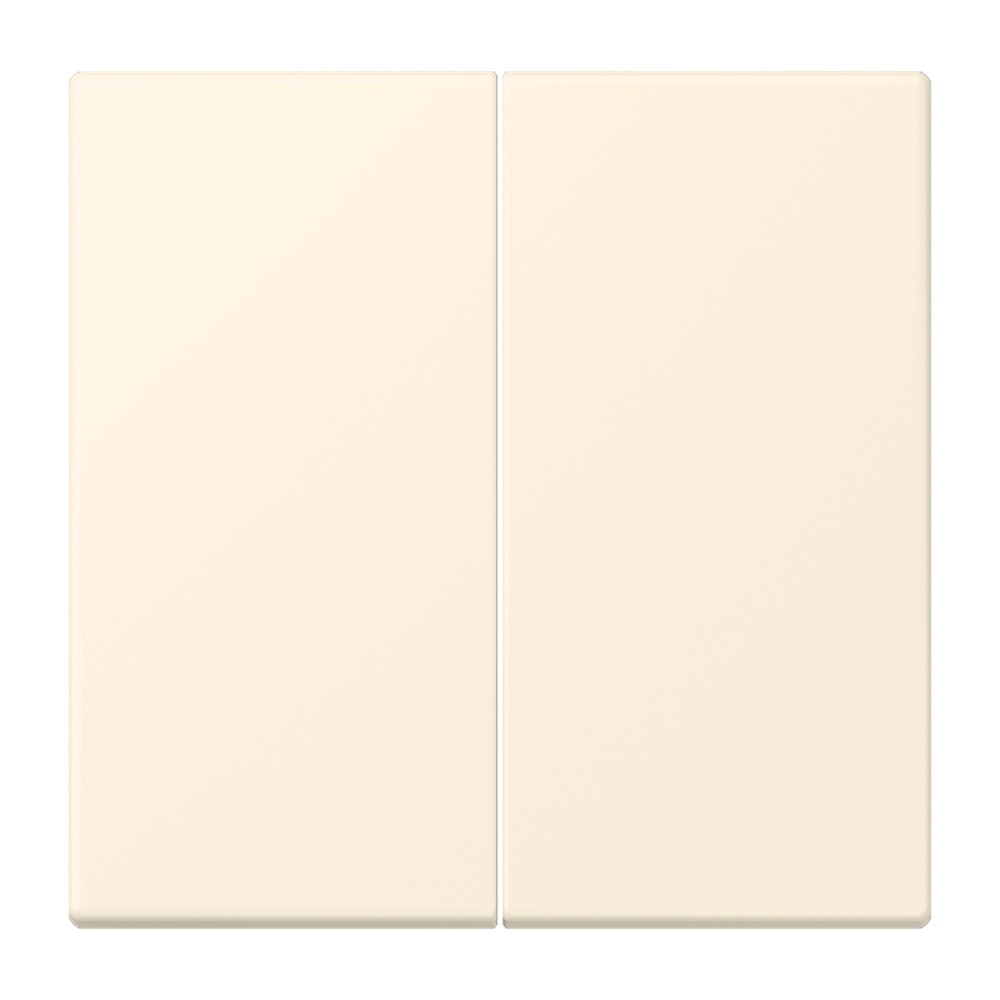 Jung Management Taster 2fach LC1702245