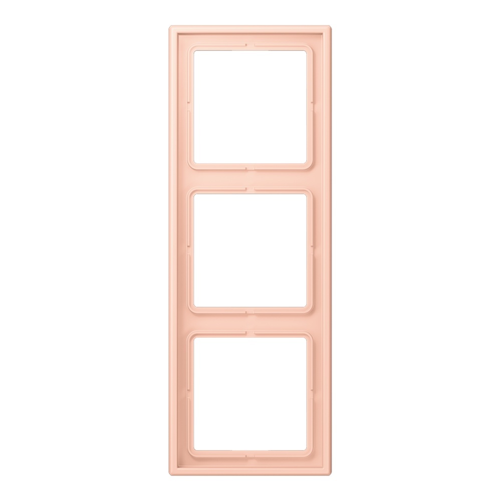 Jung Rahmen LC983234