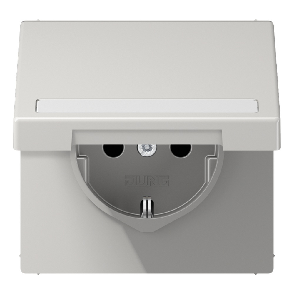 Jung Klappdeckel LS 990 BFNAKL LG