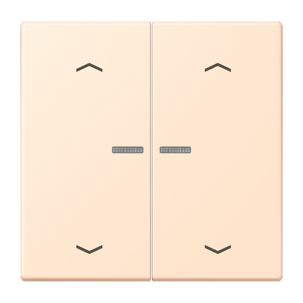 Jung JUNG HOME Taster BTLC17102P238