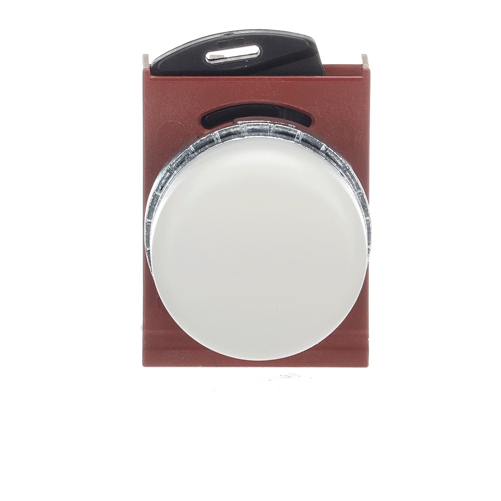 ABB Frontelement für Leuchtmelder 1SFA184797R9005 Typ P9MLBD