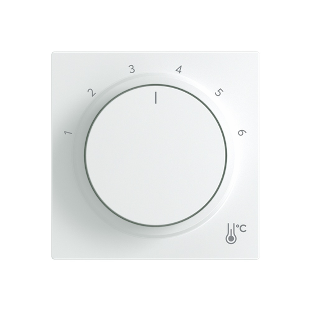 Busch-Jaeger Zentralscheibe 1794 R-44G Typ 2CKA001710A4207
