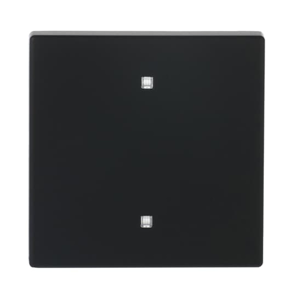 Busch-Jaeger Wippe Elektroniktaster 2570-10-885 Nr. 2CKA001751A3262 Busch-Jaeger Wippe Elektroniktaster 2570-10-885 Nr. 2CKA001751A3262