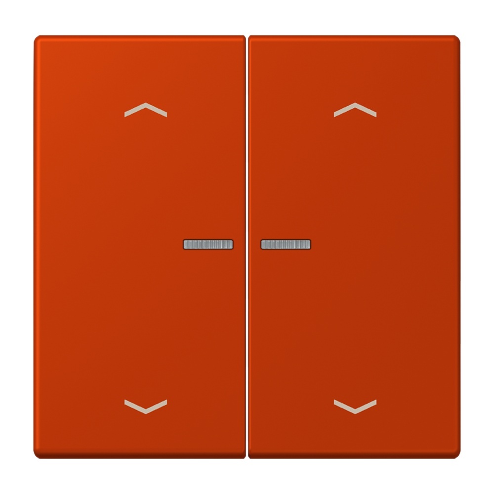 Jung JUNG HOME Taster BTLC17102P244