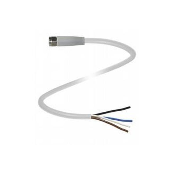 Pepperl+Fuchs Kabeldose 295198 Typ V31-GMV4A-2M-PP-W1