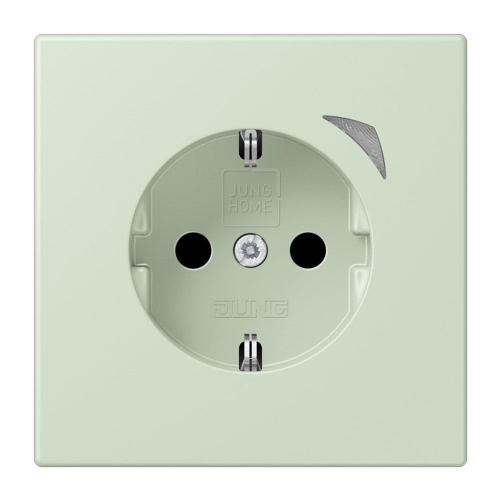 Jung JUNG HOME SCHUKO Steckdose BTLC1521SE218