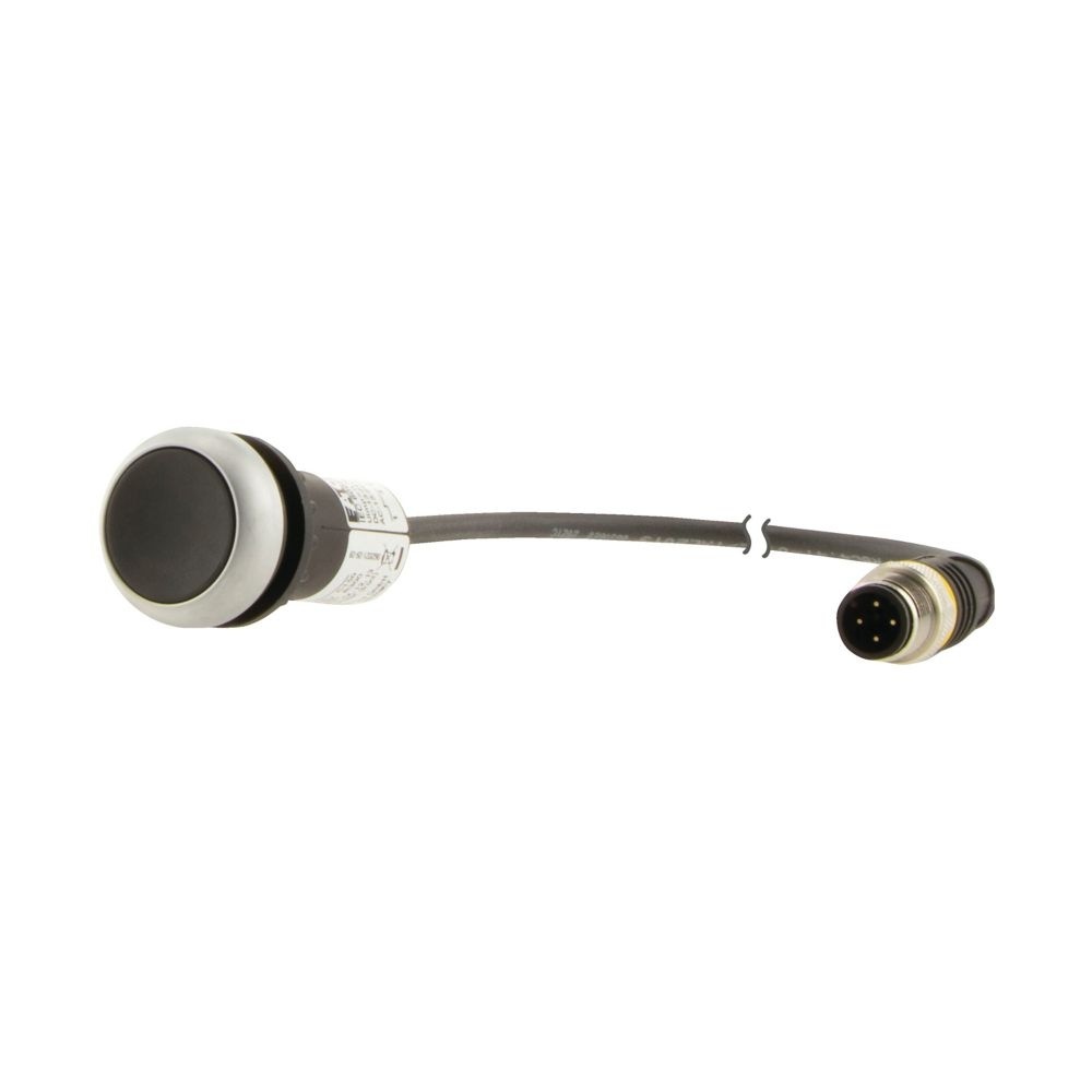 Eaton Drucktaste 181045 Typ C22-D-S-K01-P5