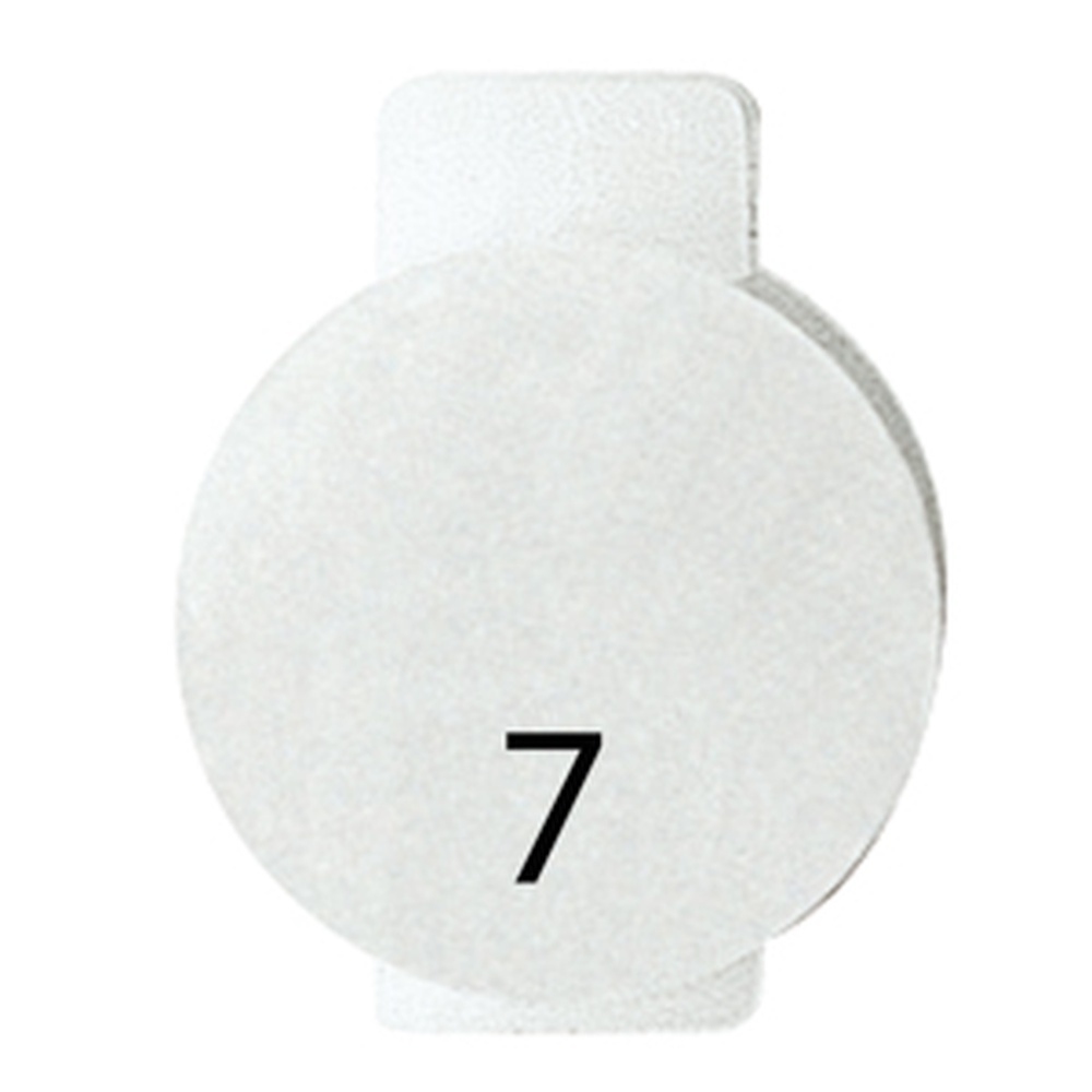 Gewiss System Symbol GW20567