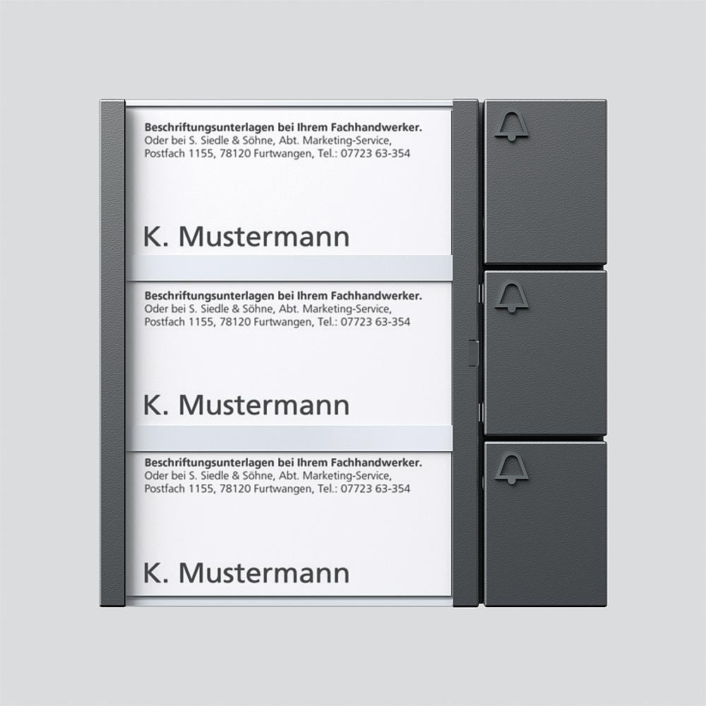 Siedle Tastenmodul 200038793-00 Typ BTM 650-03 DG