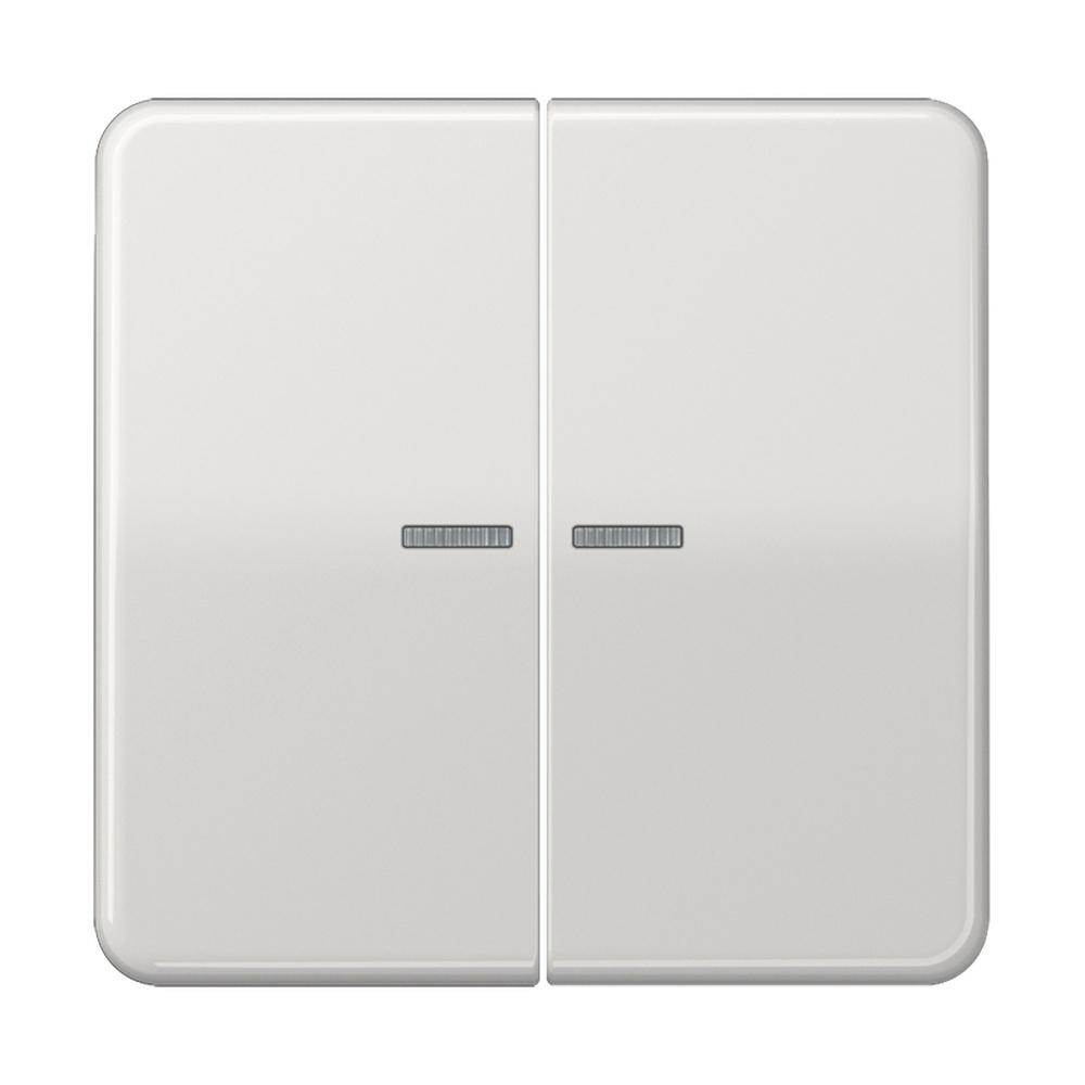 Jung Wippe CD 595 KO5BF LG