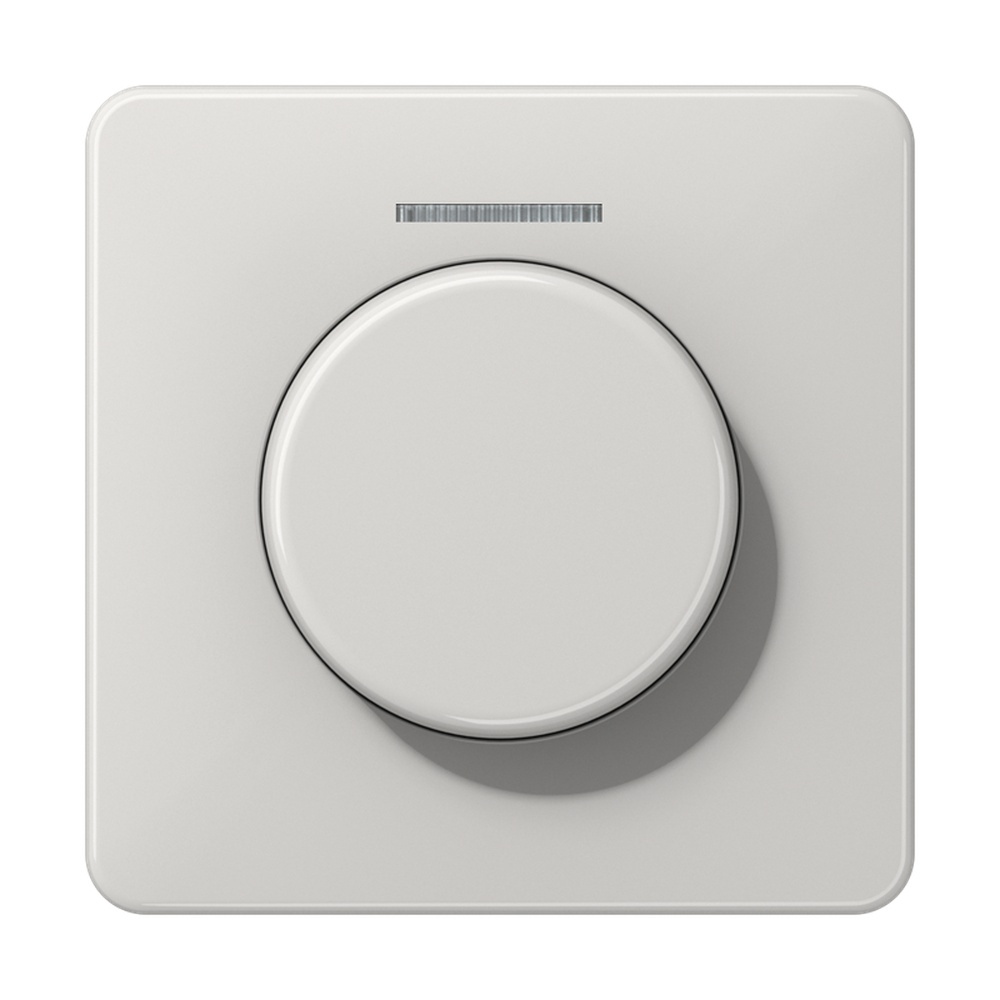 Jung Abdeckung Lichtleiter CD 1540 KO5 LG