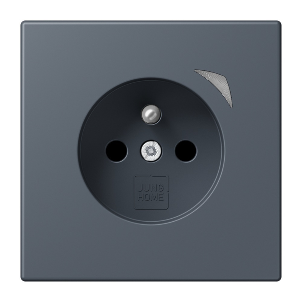 Jung Steckdose BTLC1521FS262