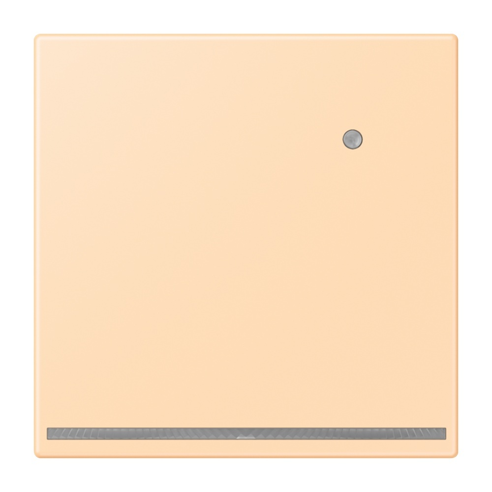 Jung LED Orientierungslicht LC1539-OLNW223