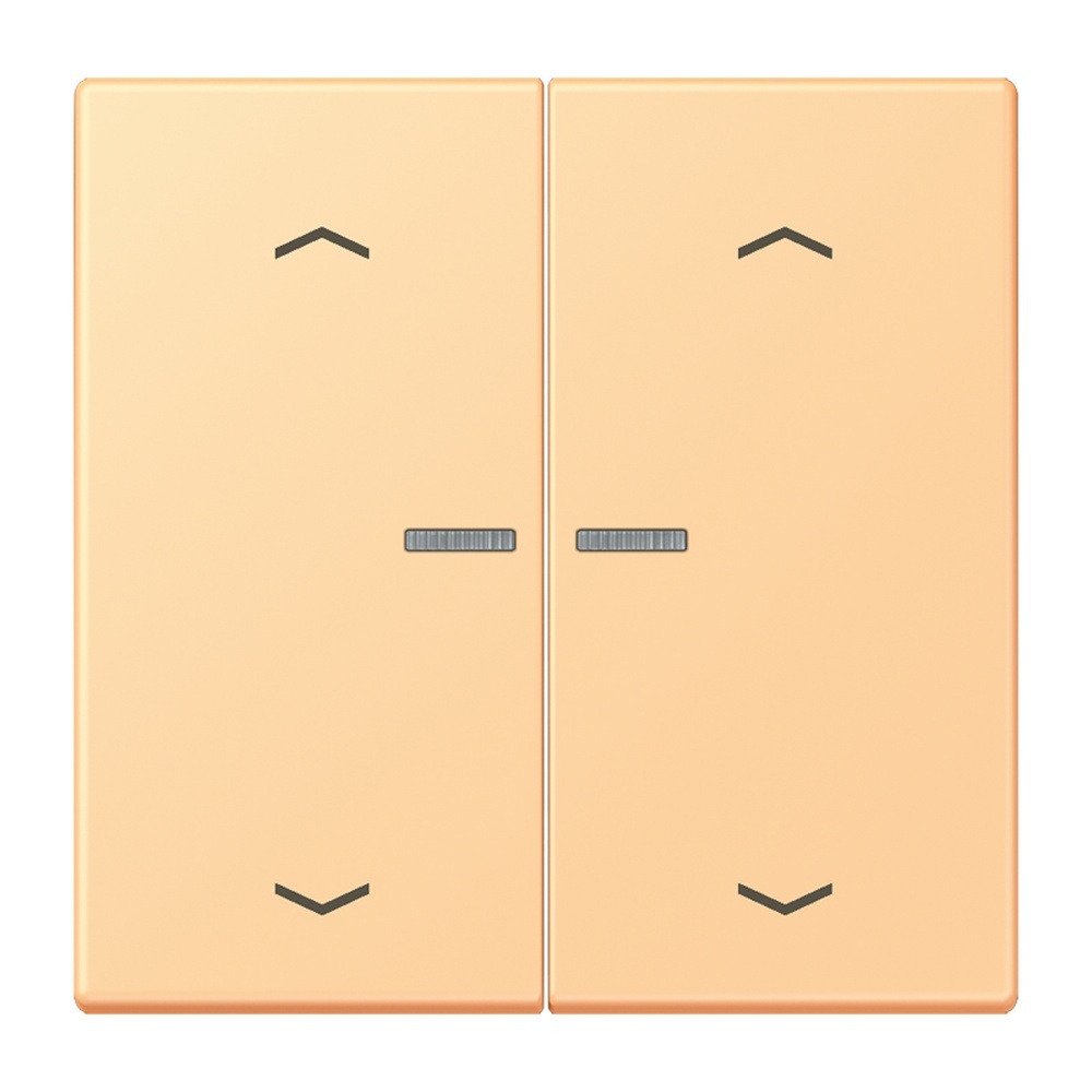 Jung JUNG HOME Taster BTLC17102P258