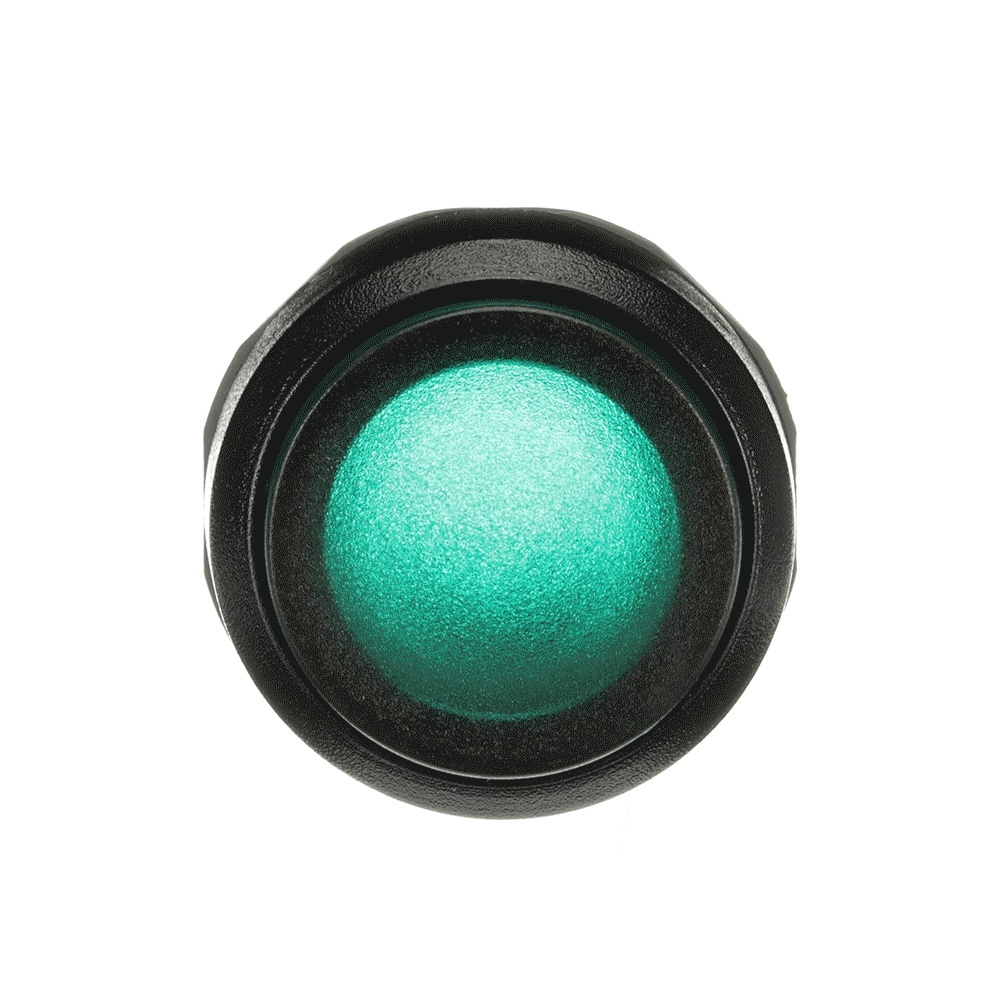 ABB Frontelement für Drucktaster 1SFA611102R1102 Typ MP3-11G