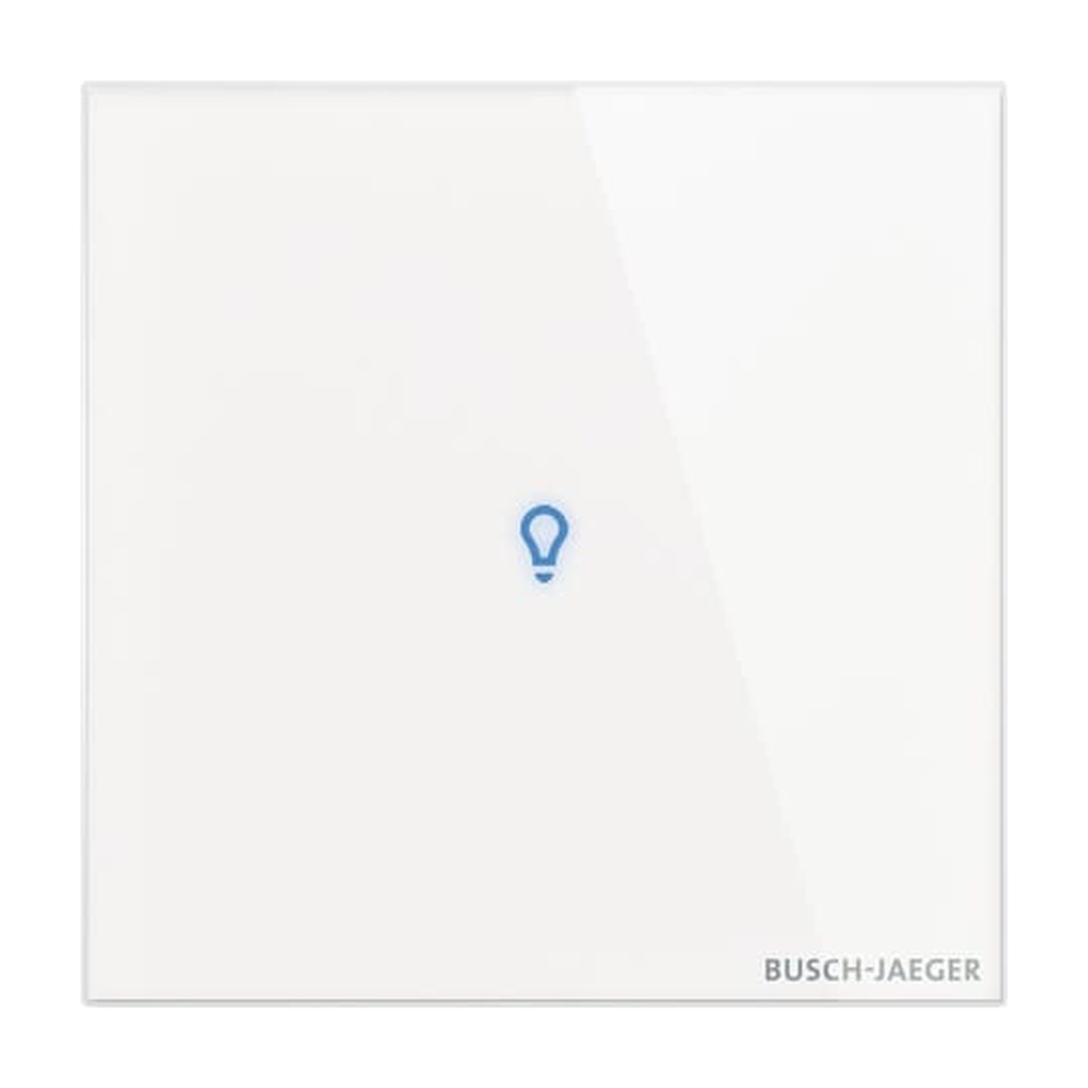 Busch-Jaeger Bedienelement 1fach TB/U1-CG Nr. 2CKA006300A1641