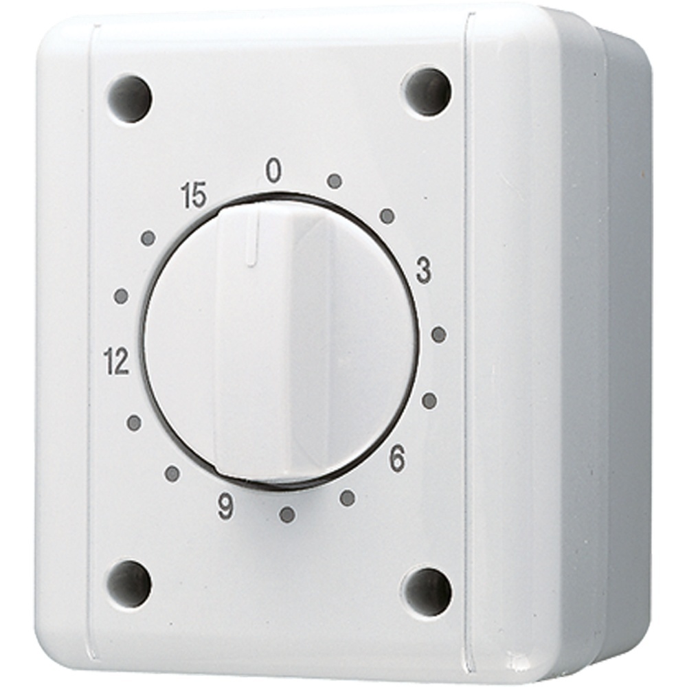 Jung Zeitschaltuhr 8015 W