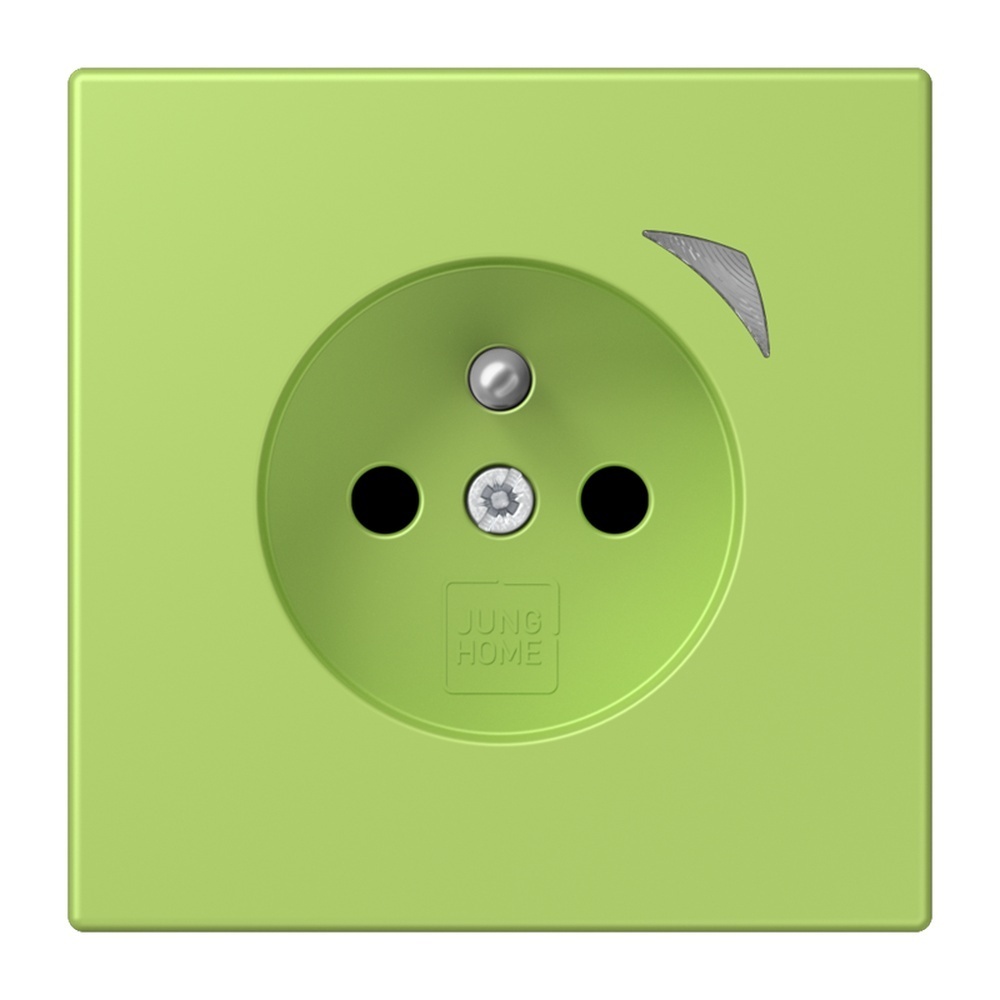 Jung Steckdose BTLC1521FS221