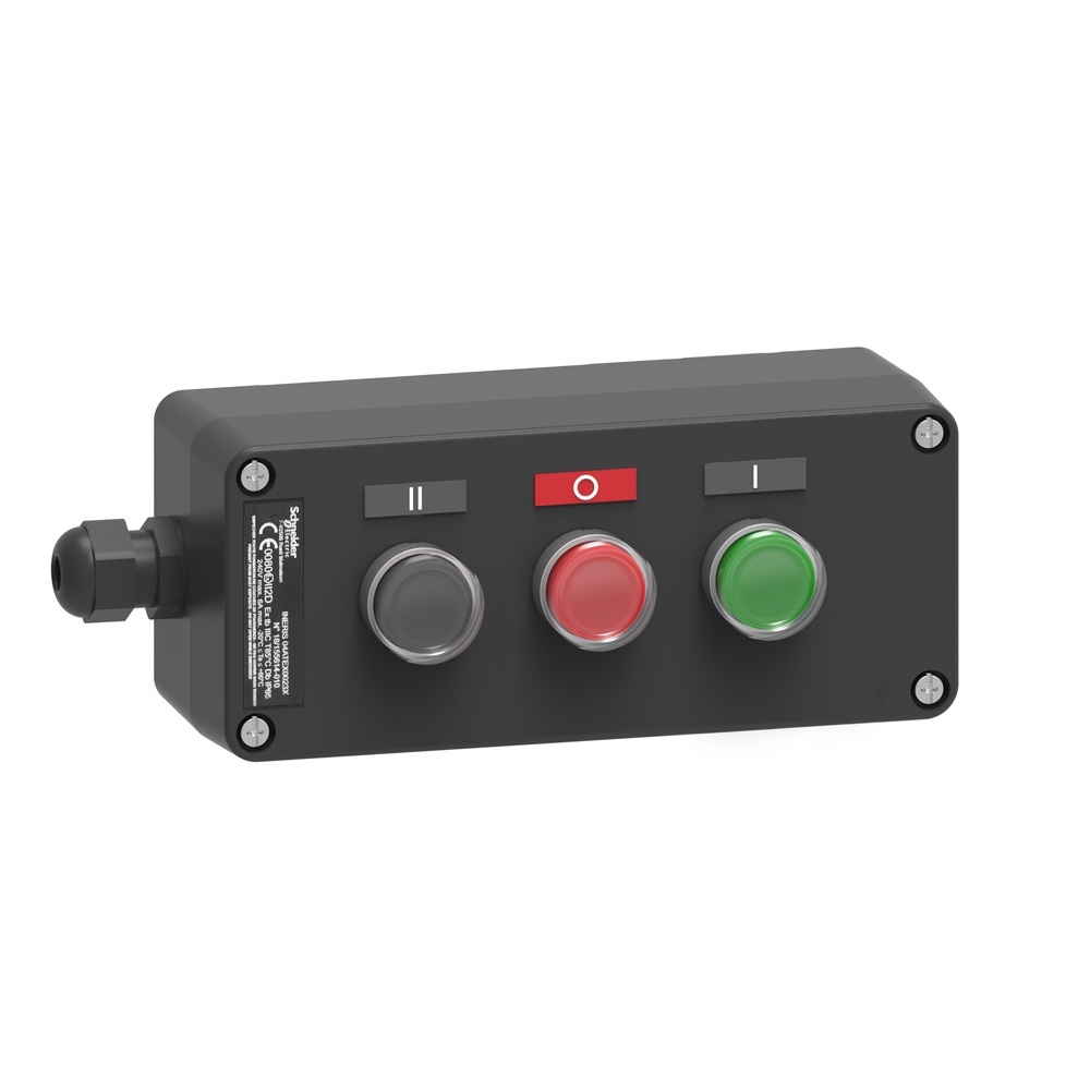 Schneider Electric Tasterstation XAWG310EX