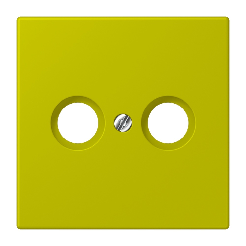 Jung Abdeckung LC990TV249