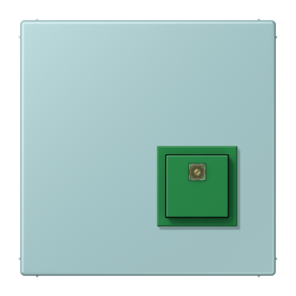 Jung Notrufsystem Abstelltaster NRSLC0834AT214