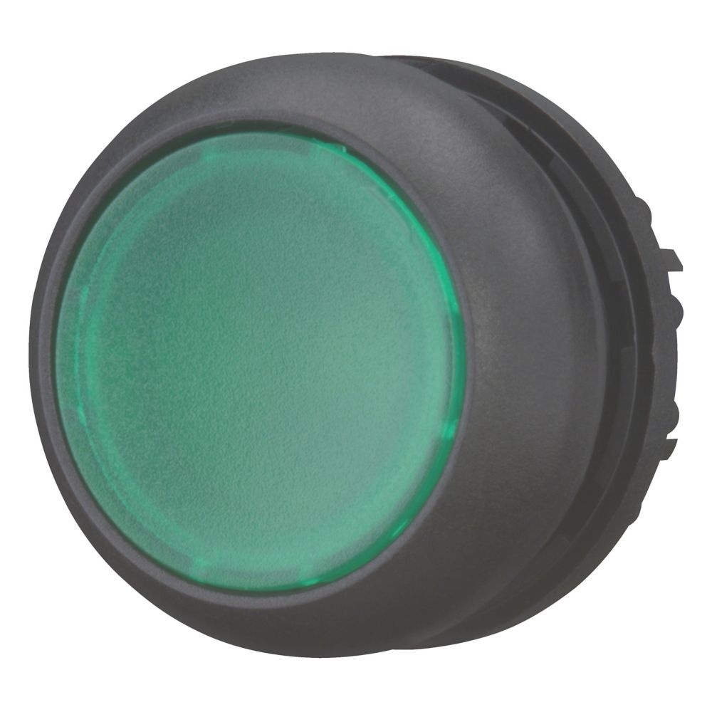 Eaton Leuchtdrucktaste 216949 Typ M22S-DRL-G