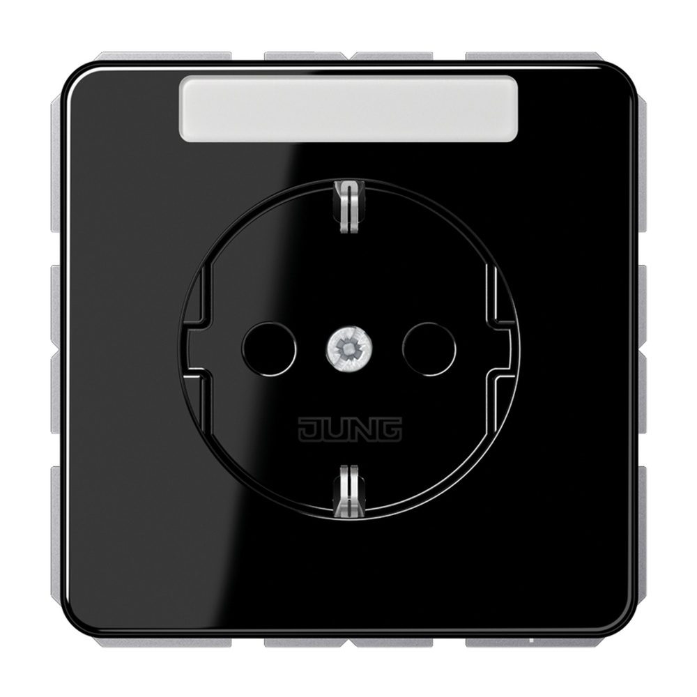 Jung Schutzkontakt Steckdose CD 1520 BFKINA SW