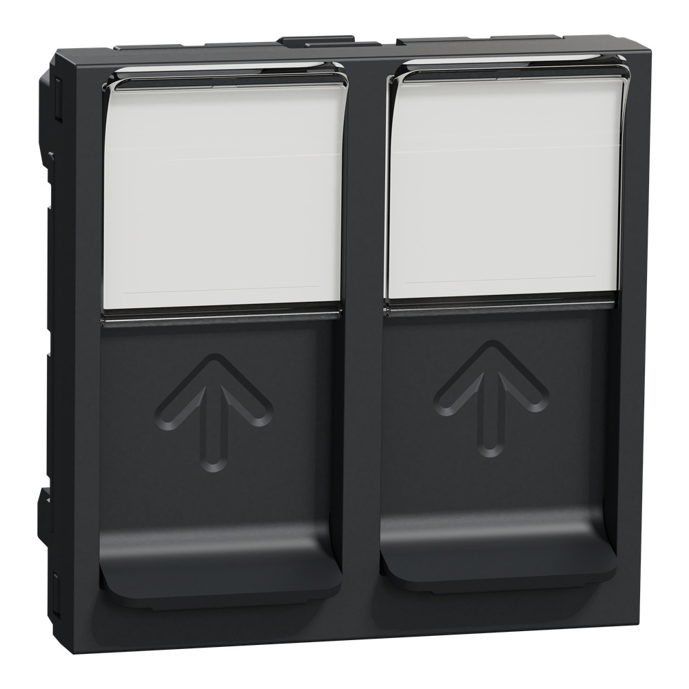 Schneider Electric Zentralplatte NU942054