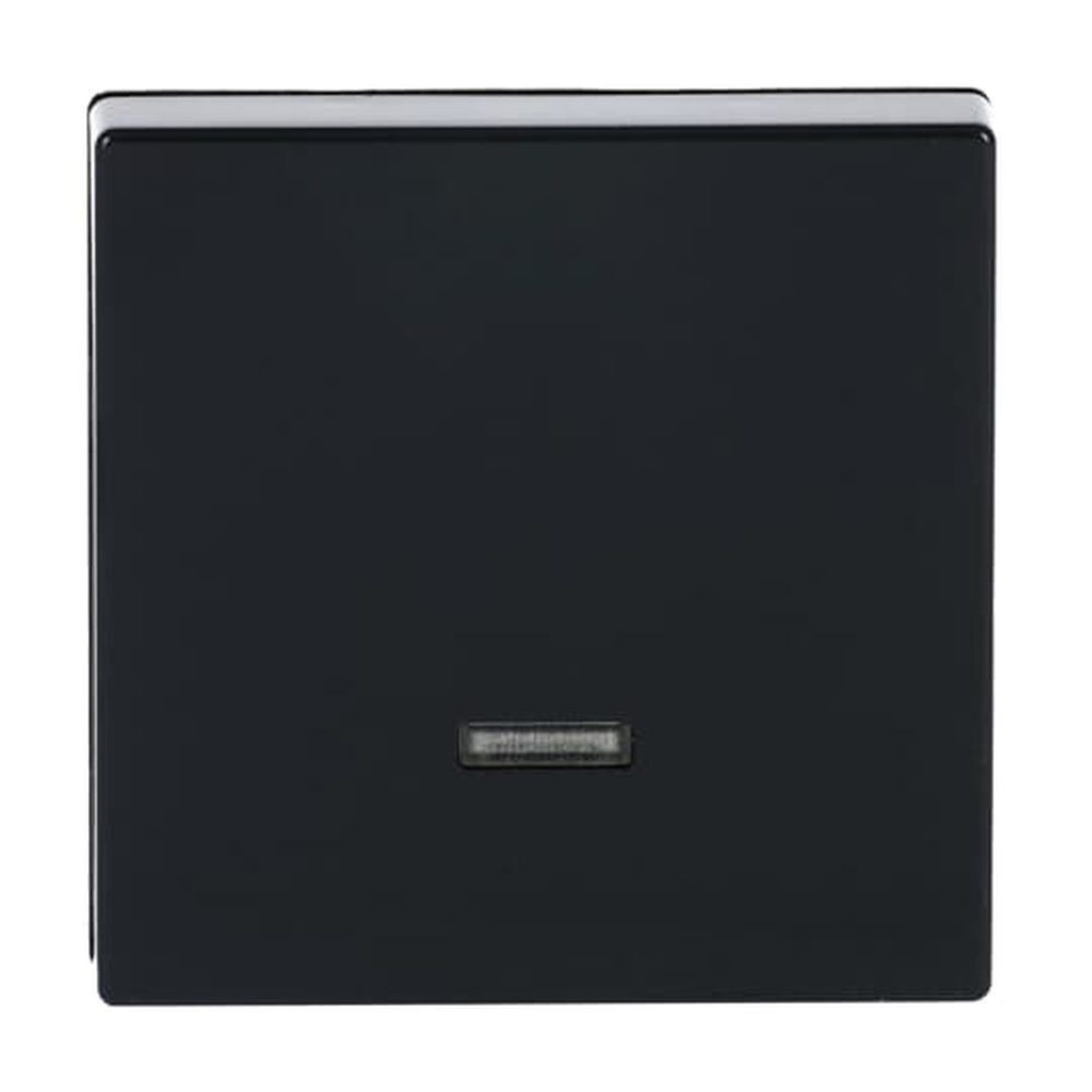 Busch-Jaeger Bedienelement 6543-81-101 Nr. 2CKA006599A2881