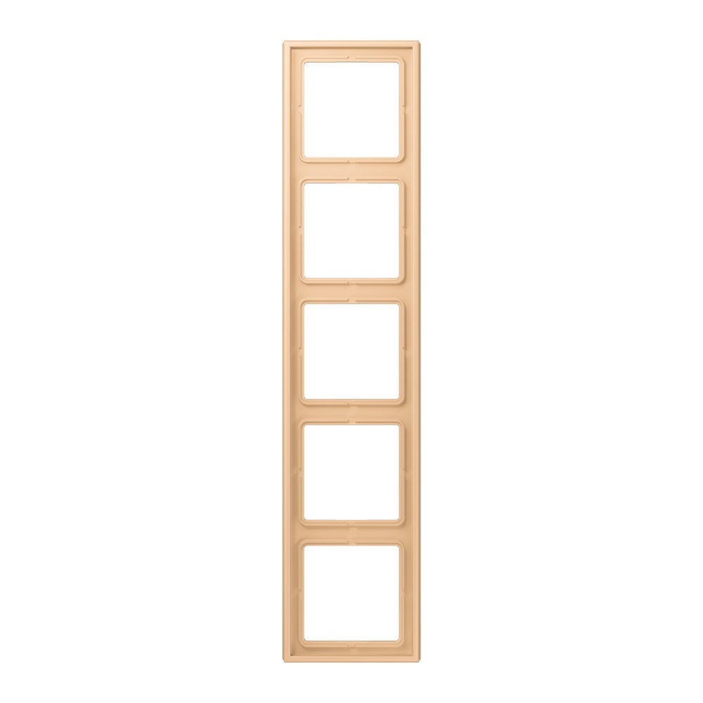 Jung Rahmen LC985237