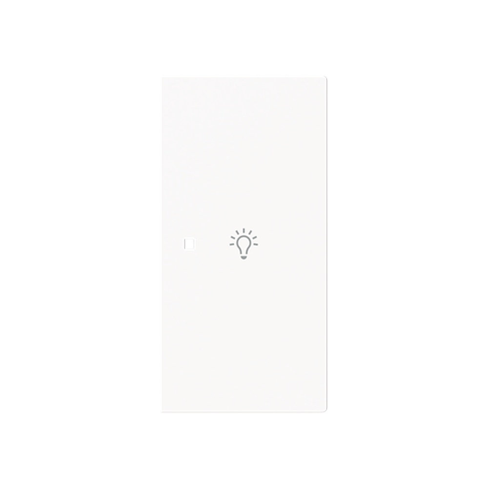 Busch-Jaeger Wippe 6231-22-44G Typ 2CKA006220A0952