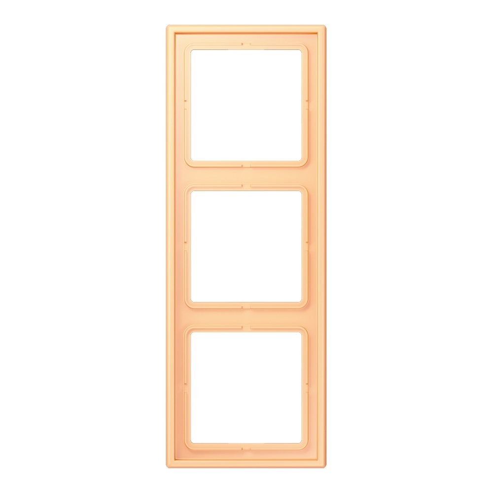 Jung Rahmen LC983258