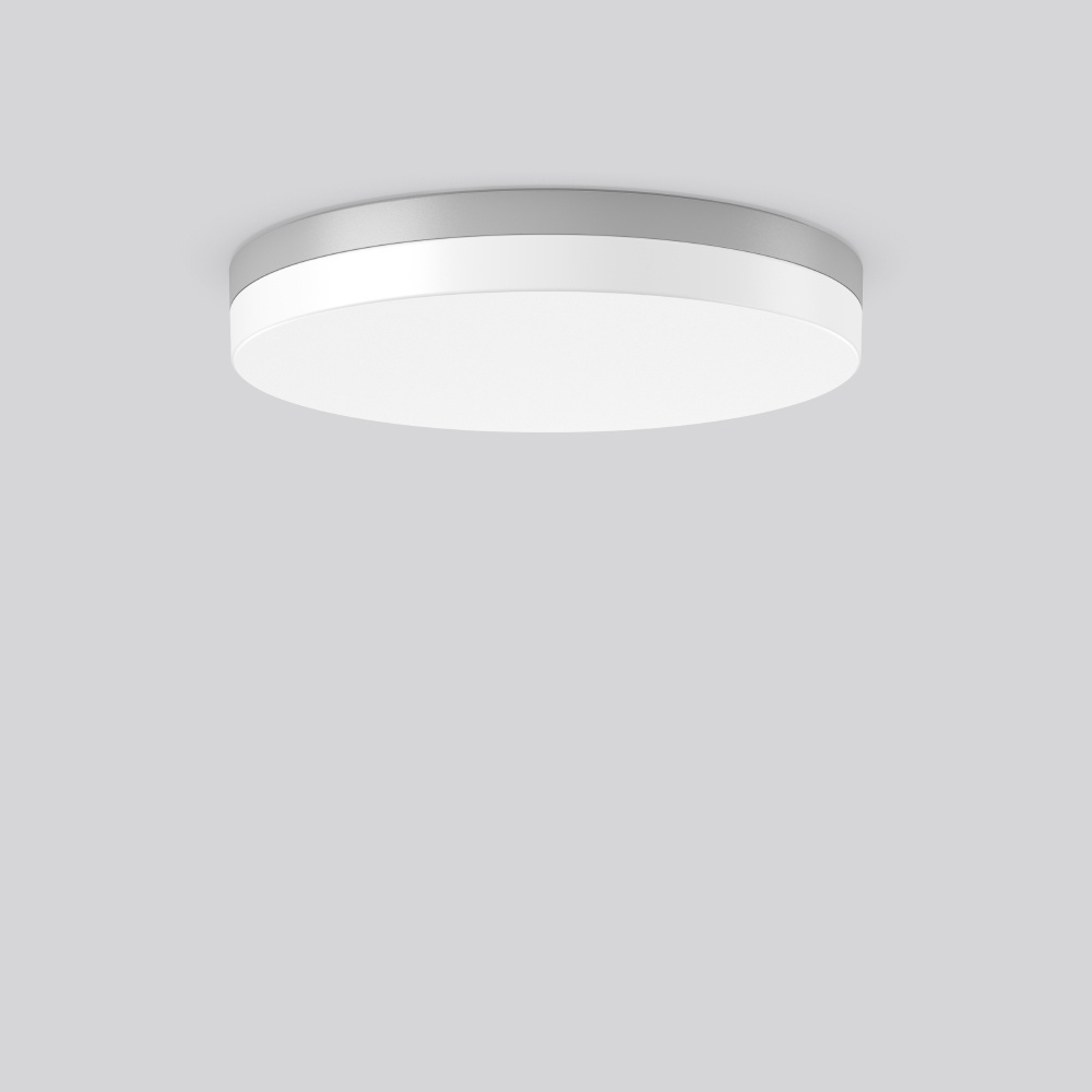 RZB LED Anbauleuchte 312633.004.19