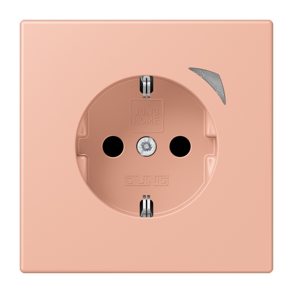 Jung JUNG HOME SCHUKO Steckdose BTLC1521SE231
