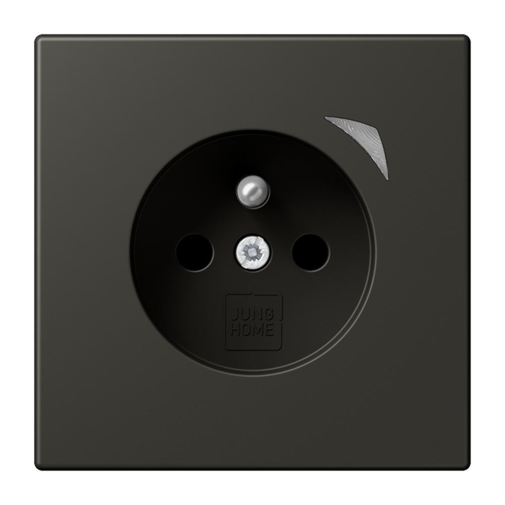 Jung Steckdose BTLC1521FS259
