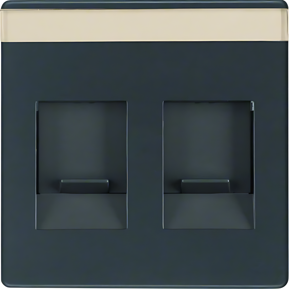 Berker Zentralstück 11816086 Berker Zentralstück 11816086