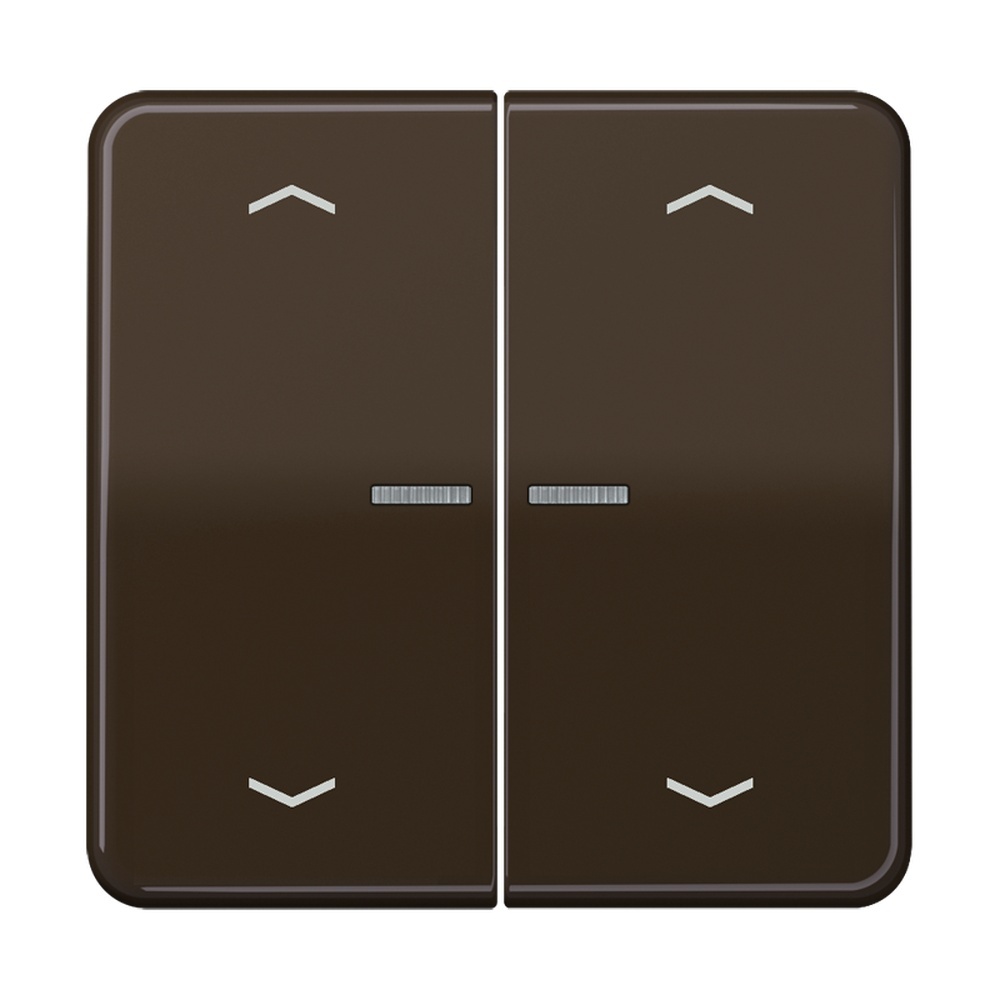 Jung Serienwippe m. Lichtleiter CD102KO5PBR