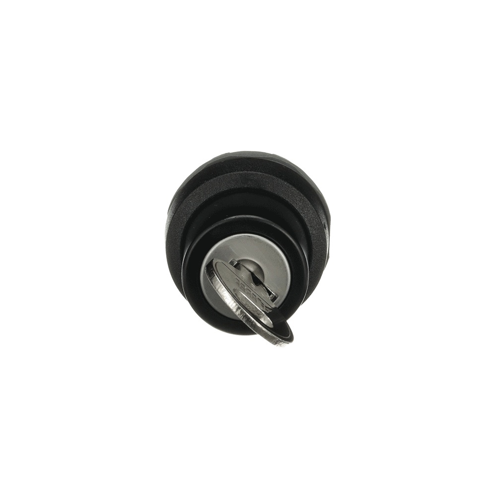 ABB Frontelement für Wahlschalter 1SFA611289R1001 Typ M2SSK4-101