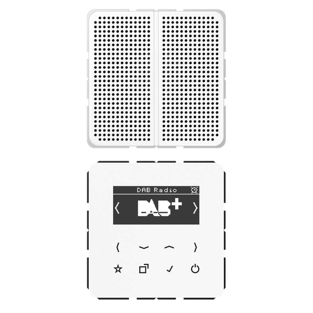 Jung Smart Radio DABCD1WW