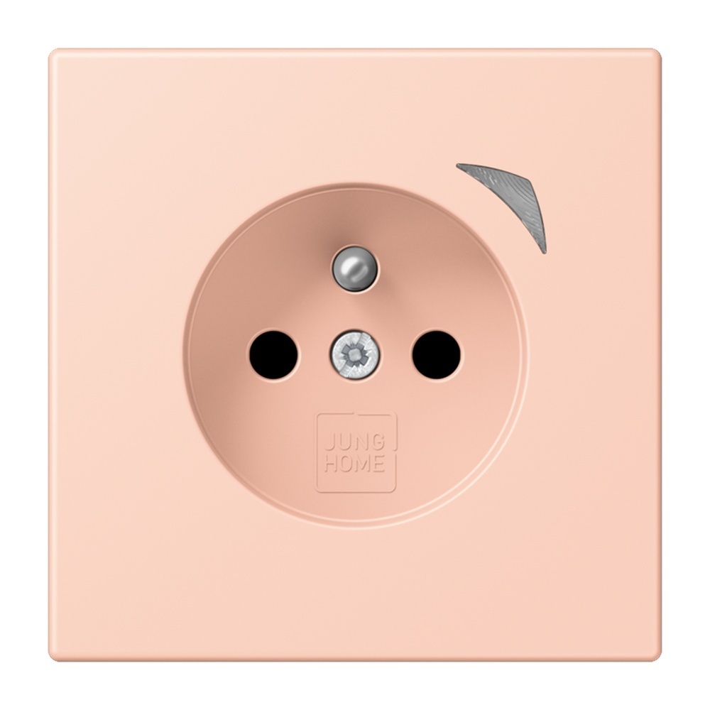 Jung Steckdose BTLC1521FS234