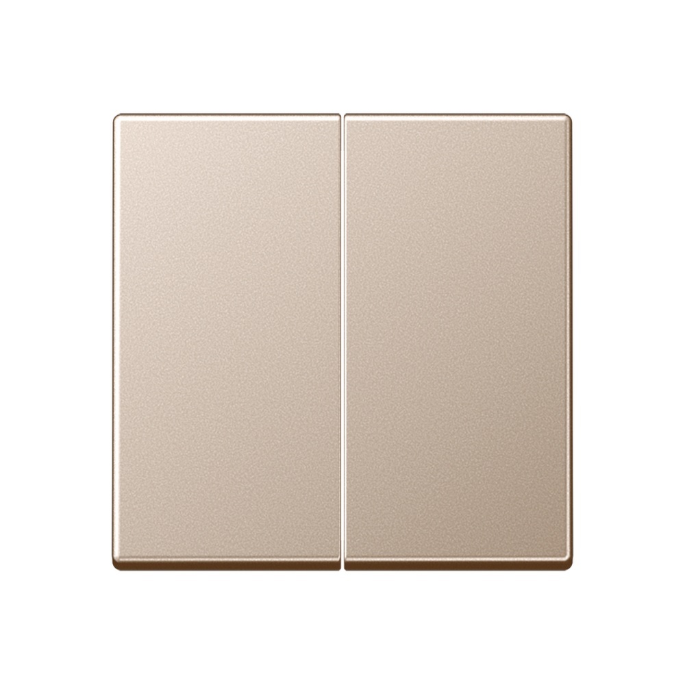 Jung Steuertaste Standard A1702CH