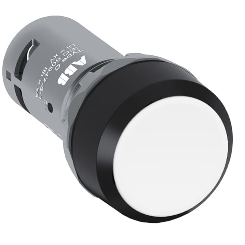ABB Drucktaster 1SFA619101R1045 Typ CP2-10W-01